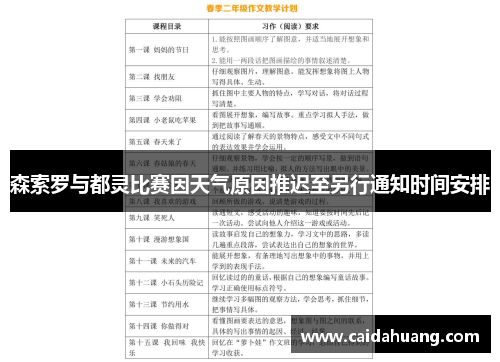 森索罗与都灵比赛因天气原因推迟至另行通知时间安排